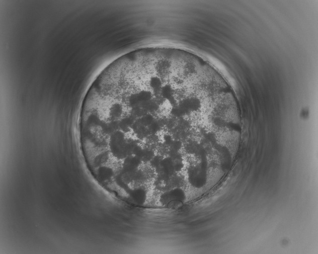 X0000116860863201001121239