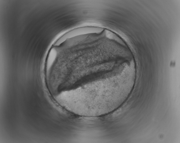 X0000116860864201001121239