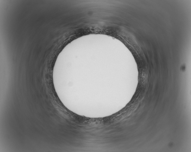 X0000116860865201001121239