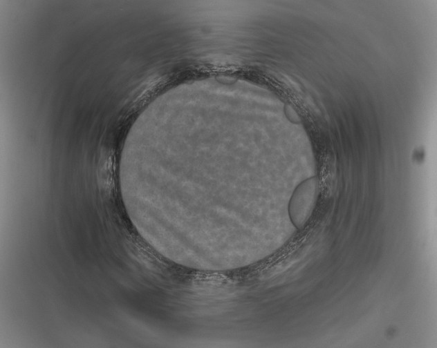 X0000116860866201001121239