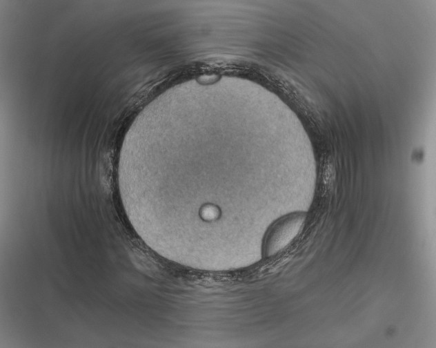 X0000116860868201001121239