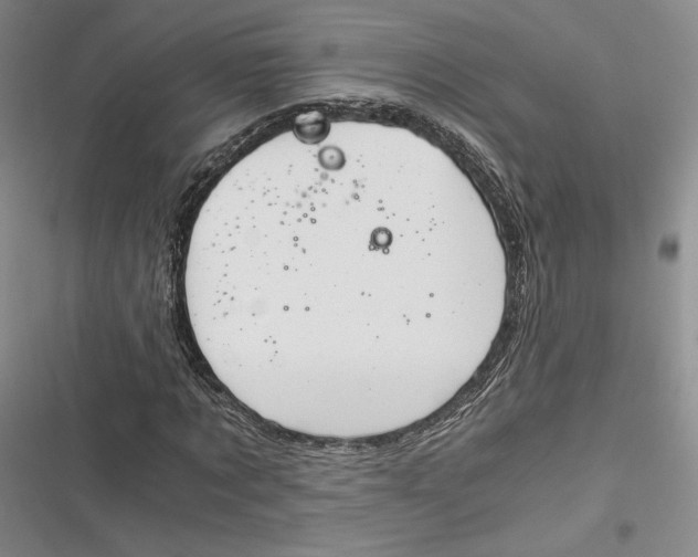 X0000116860869201001121239