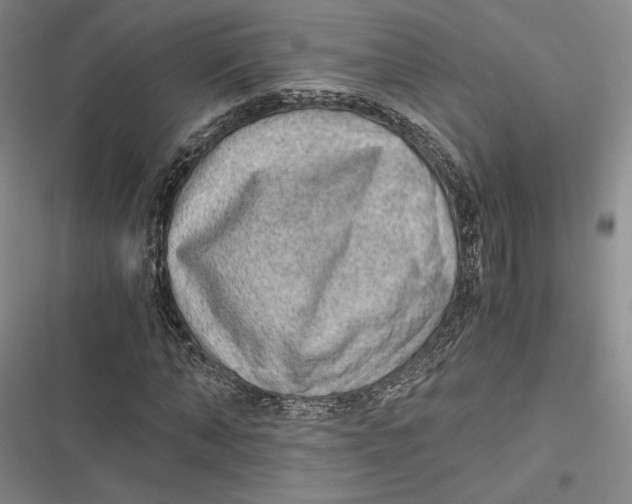 X0000116860870201001121239