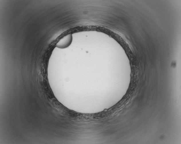 X0000116860871201001121239