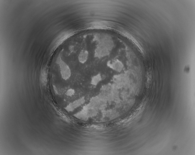 X0000116860874201001121238