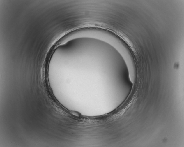 X0000116860877201001121238