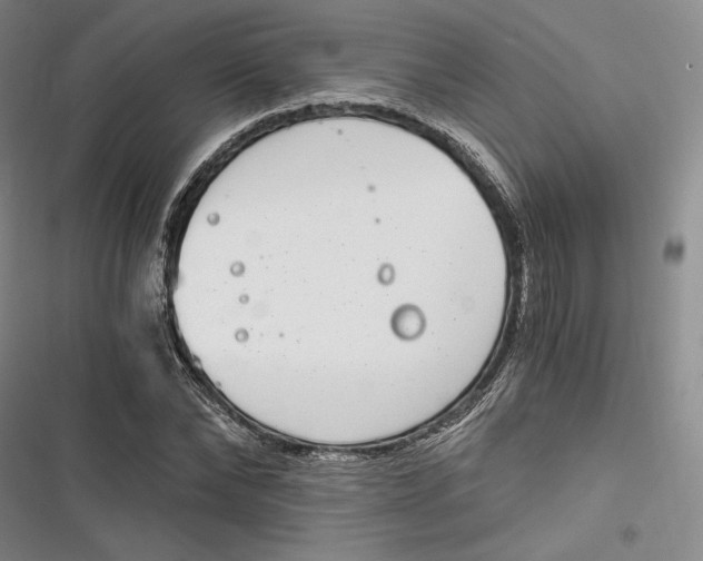 X0000116860878201001121238