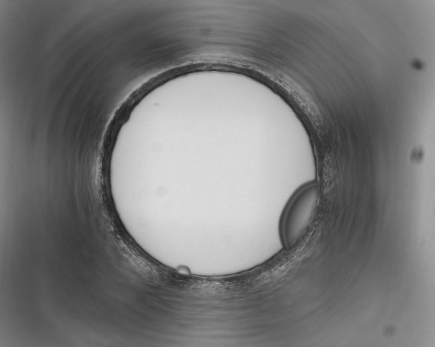 X0000116860880201001121238