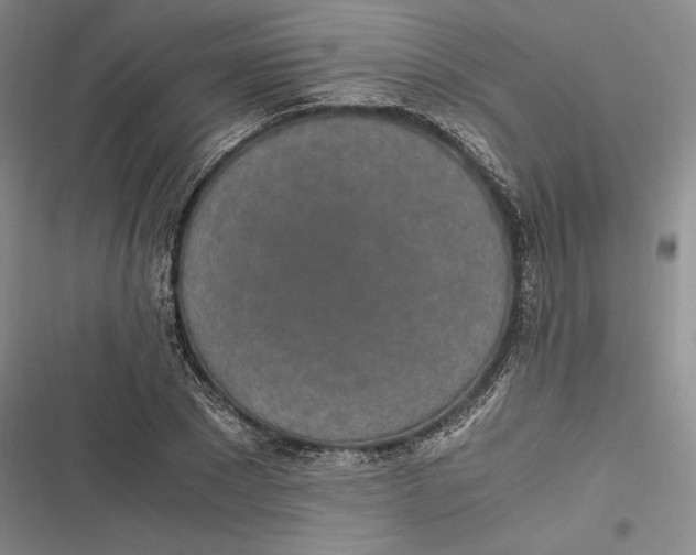 X0000116860881201001121238