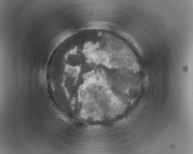 X0000116860882201001121238