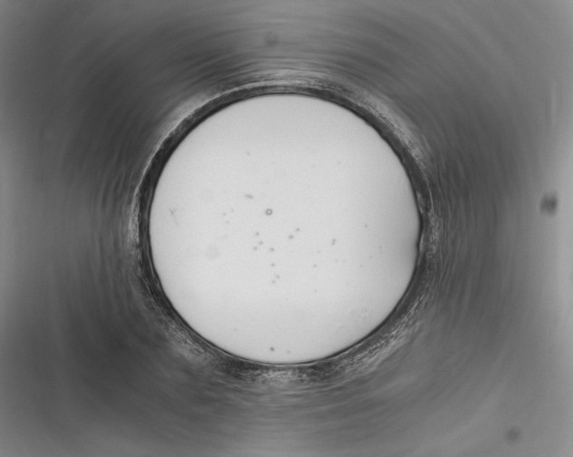 X0000116860883201001121238