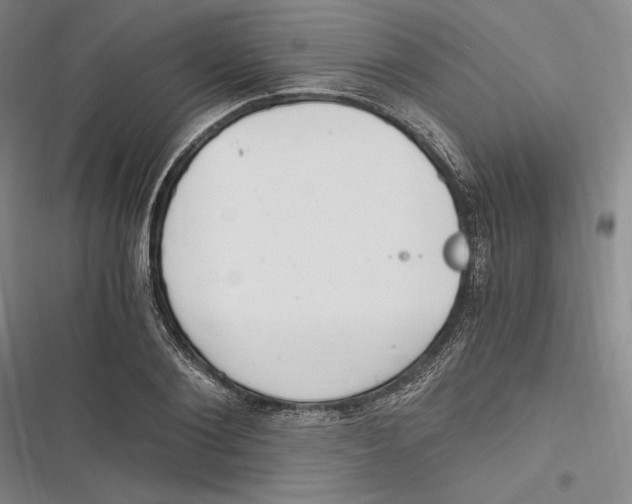 X0000116860884201001121238