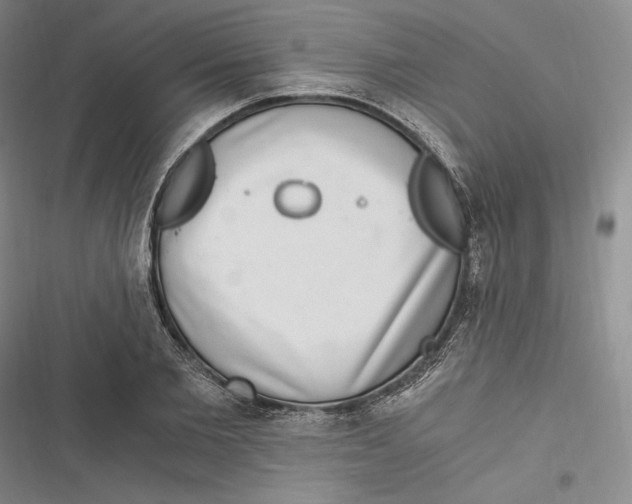 X0000116860885201001121238