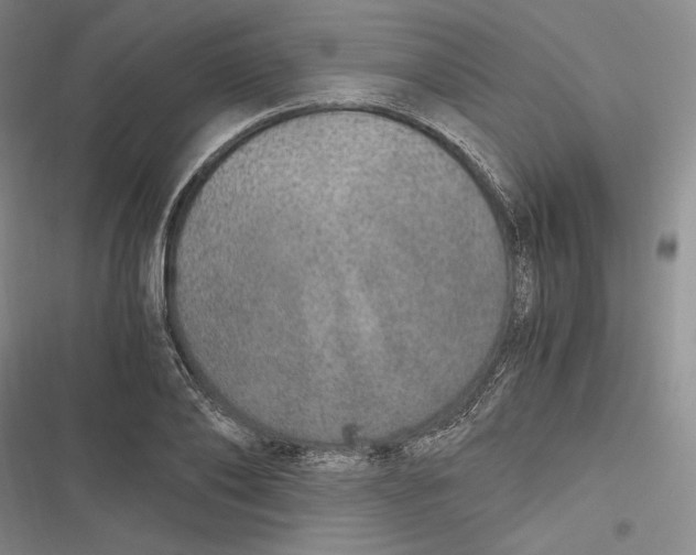 X0000116860886201001121238