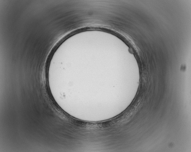 X0000116860887201001121238