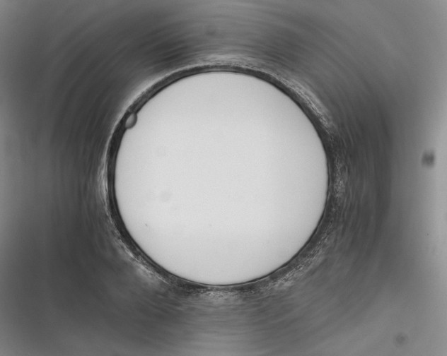 X0000116860888201001121238