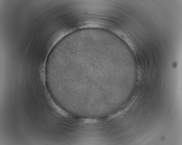 X0000116860890201001121238