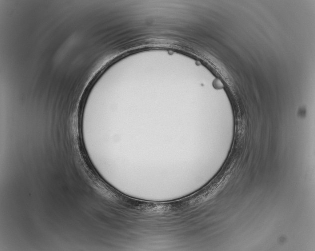 X0000116860891201001121238