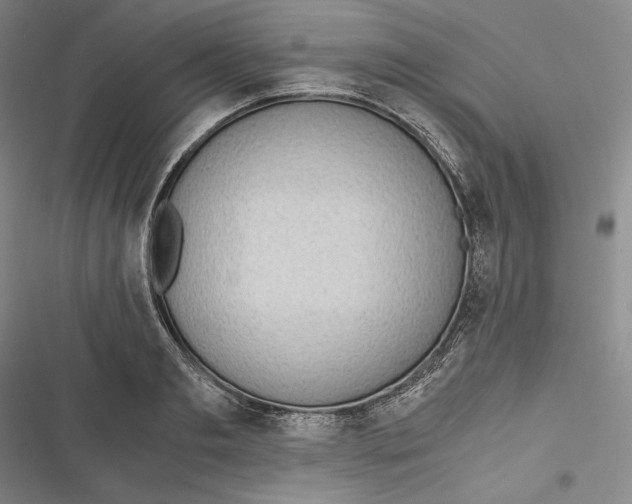 X0000116860893201001121238