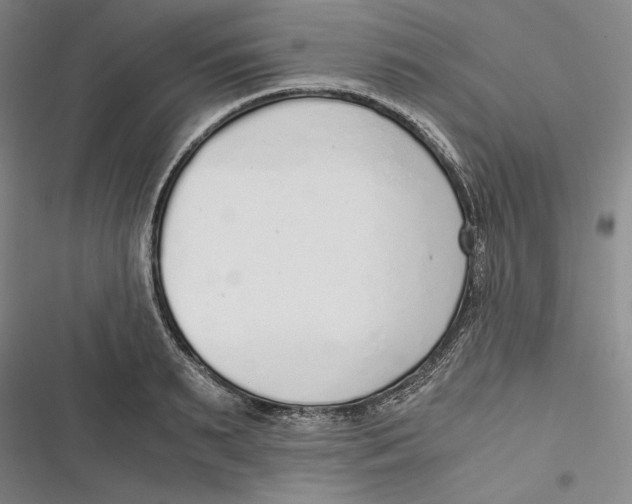 X0000116860895201001121238