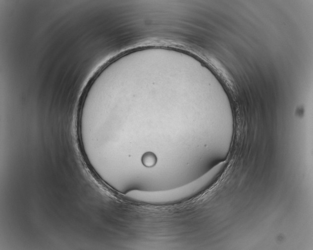 X0000116860896201001121238