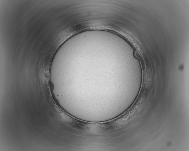 X0000116860897201001121238