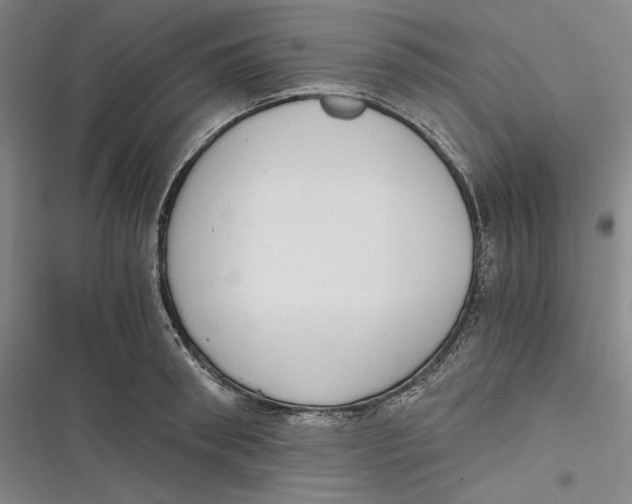 X0000116860898201001121238