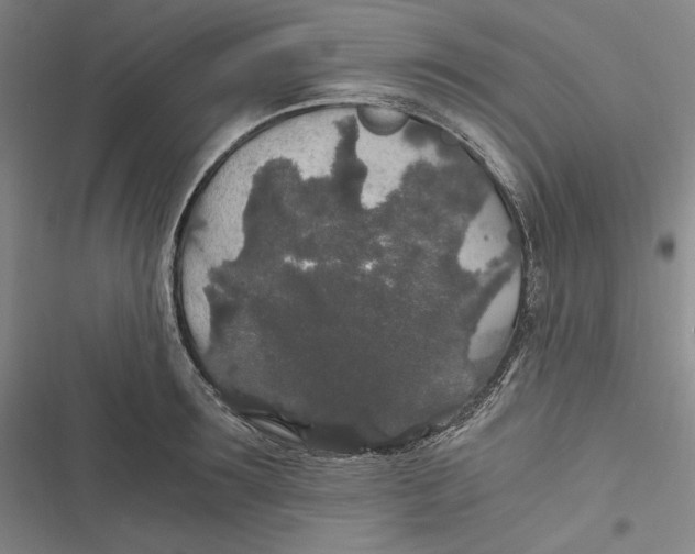 X0000116860899201001121238