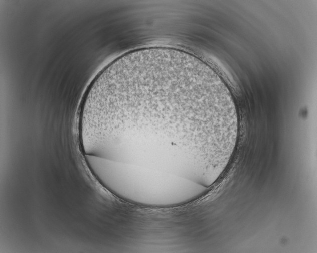 X0000116860900201001121238