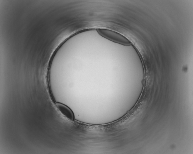 X0000116860901201001121238