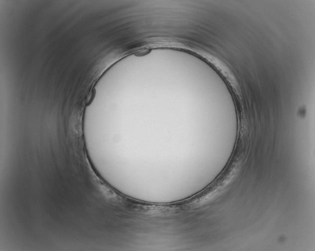 X0000116860905201001121238