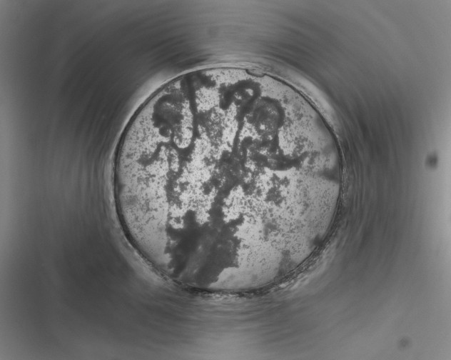 X0000116860907201001121238