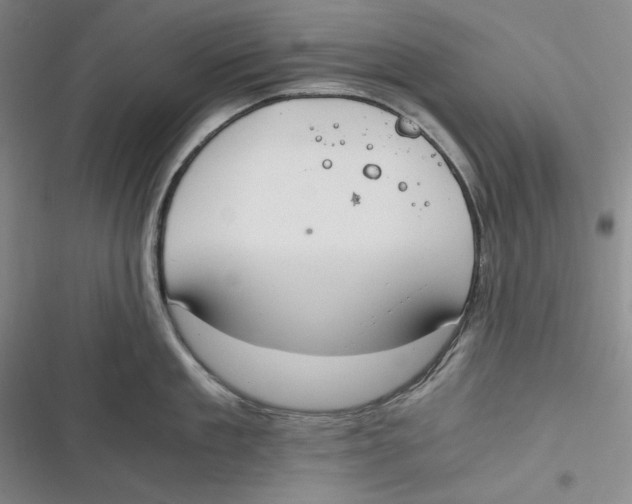 X0000116860909201001121238