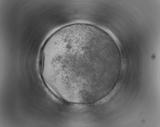 X0000116860910201001121238