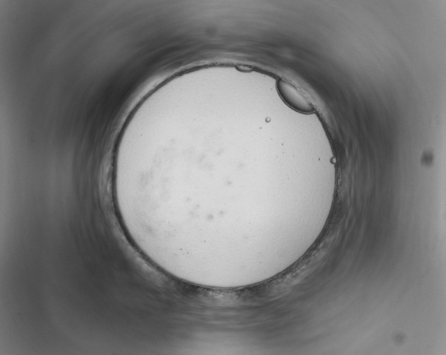 X0000116860911201001121238