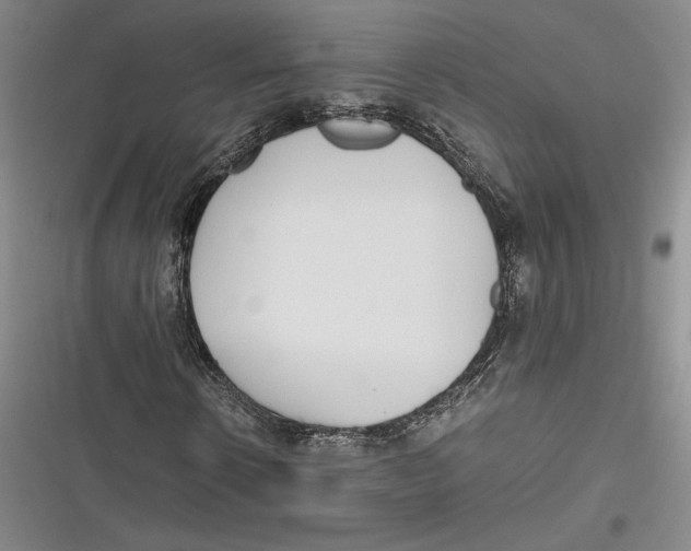 X0000116860914201001121237