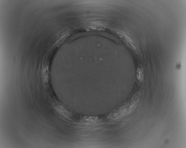 X0000116860915201001121237