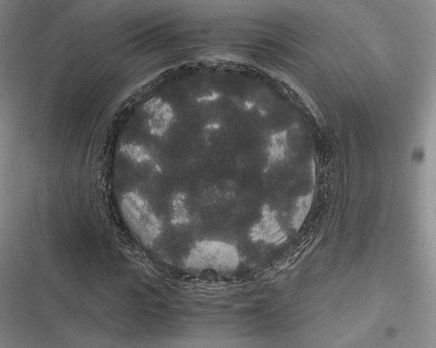 X0000116860919201001121237