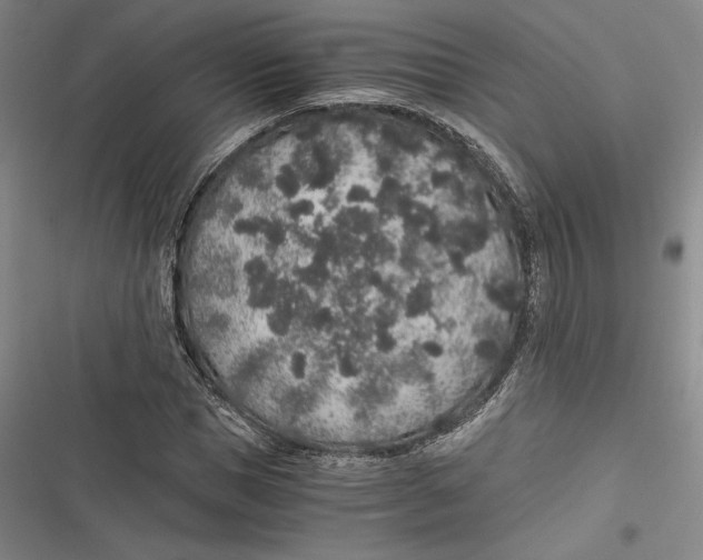 X0000116860921201001121237