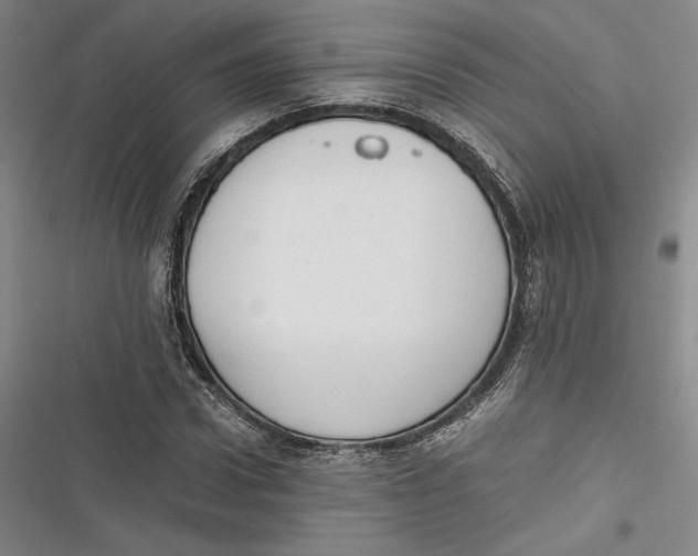 X0000116860922201001121237