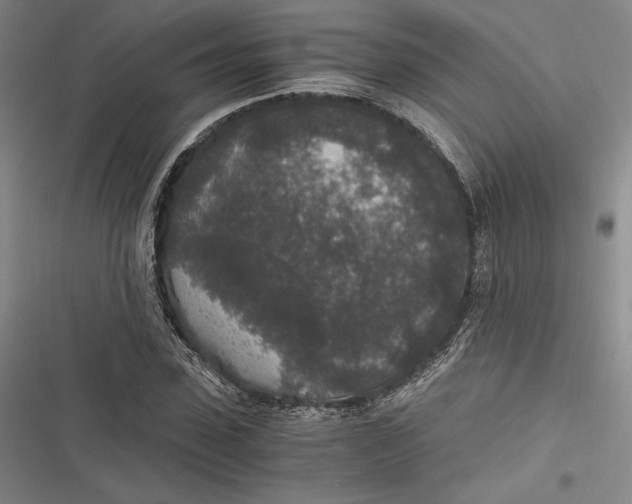 X0000116860923201001121237