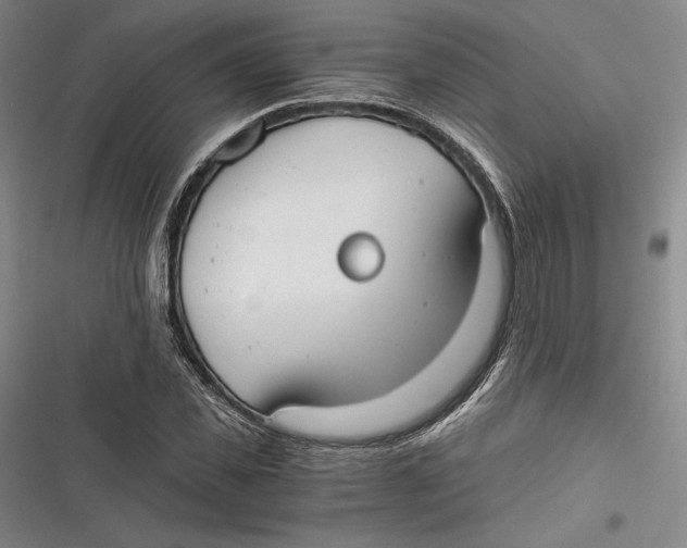 X0000116860925201001121237