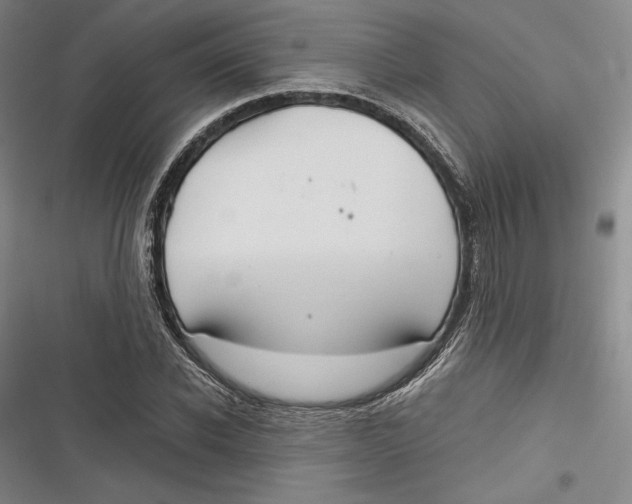 X0000116860926201001121237