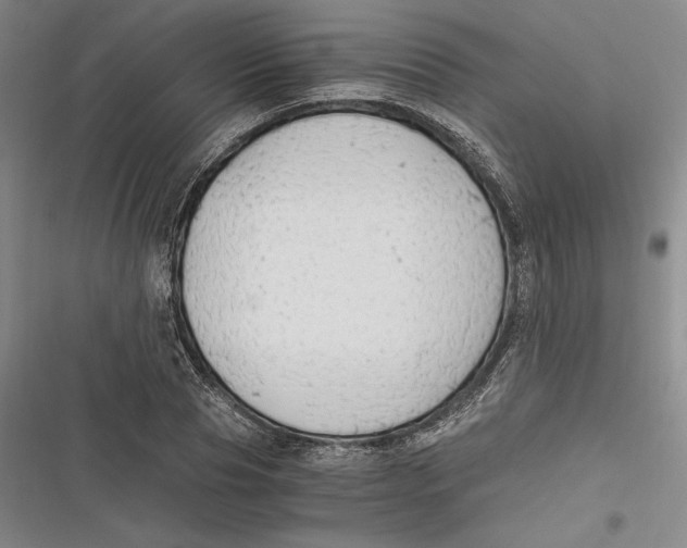 X0000116860929201001121238