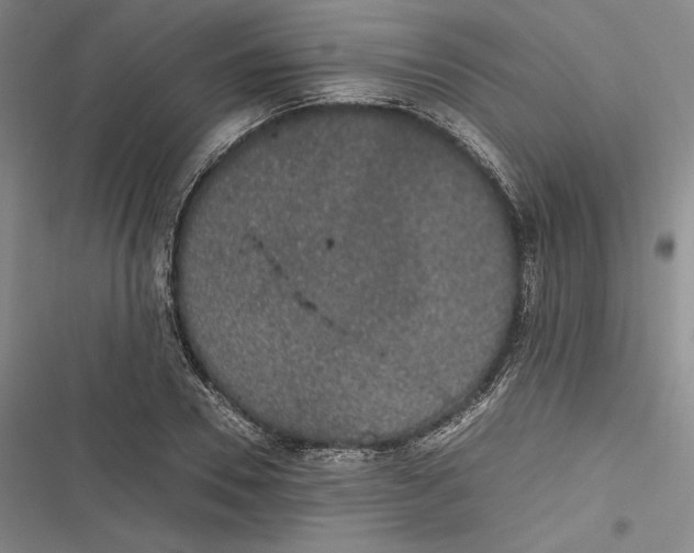 X0000116860930201001121238