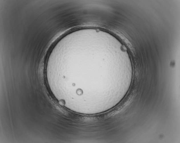 X0000116860933201001121238