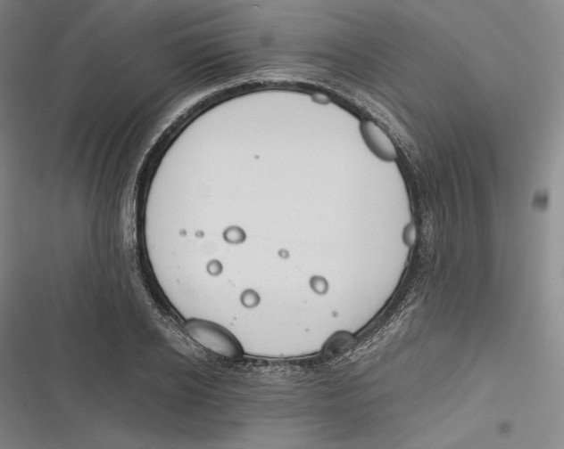 X0000116860934201001121238