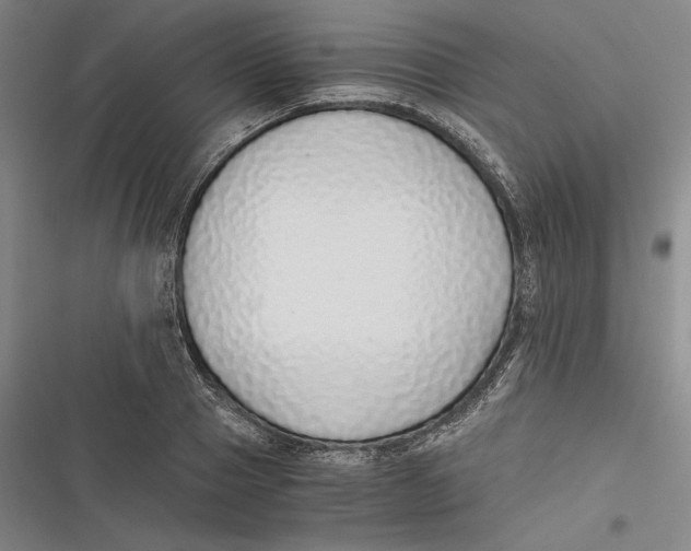 X0000116860937201001121238