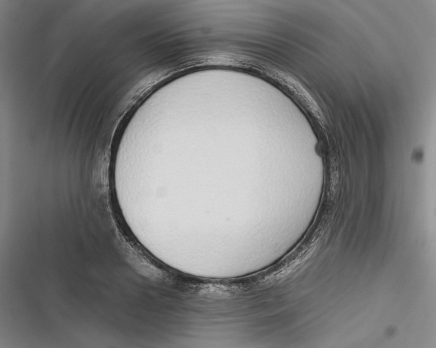 X0000116860938201001121238