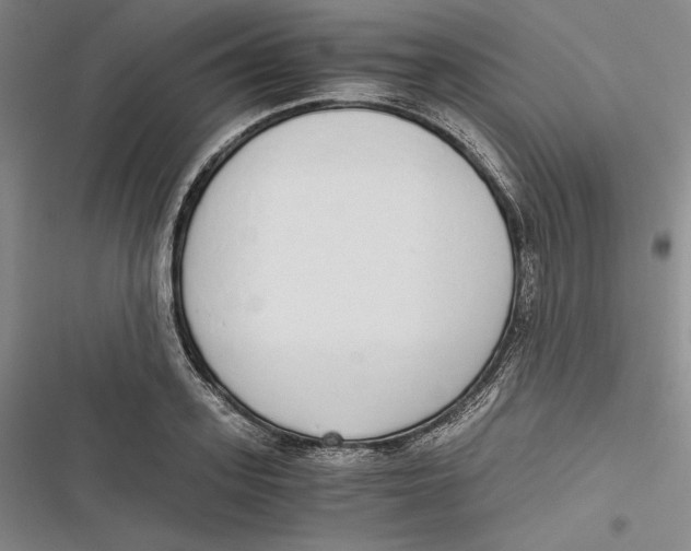 X0000116860939201001121238